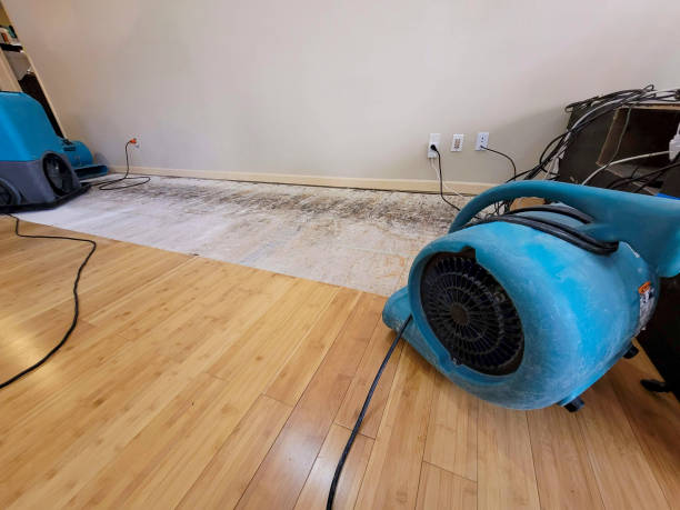 Professional Structural Drying technician working in Goodrich, MI